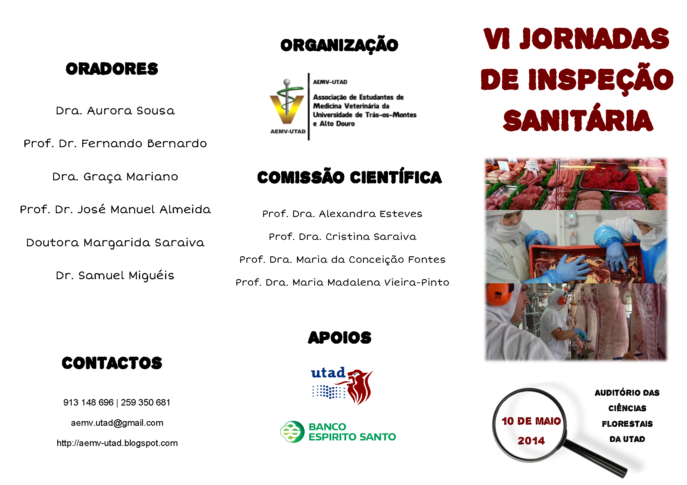 Flyer: VI Jornadas de Inspeção Sanitária