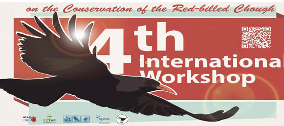 Banner: 4º Workshop Internacional para a Conservação da Gralha-de-bico-vermelho