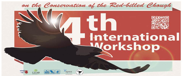 Banner: 4º Workshop Internacional para a Conservação da Gralha-de-bico-vermelho